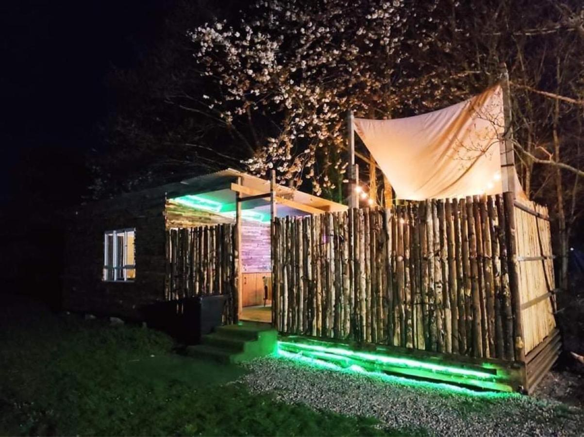Campsite Gracelands Glamping 1